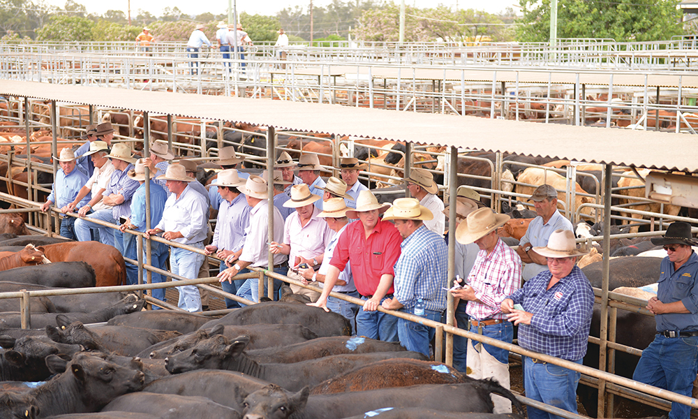 EOI for people interested in Dubbo Livestock Markets