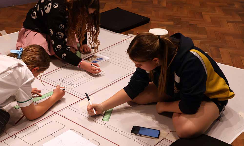 Goulburn students design stunning mural for hospital fundraiser