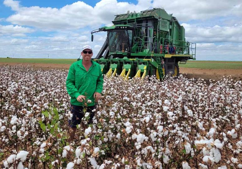 Cotton picking begins following mixed season
