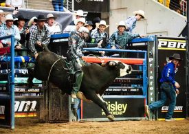 Beaudesert set for two-night buckfest