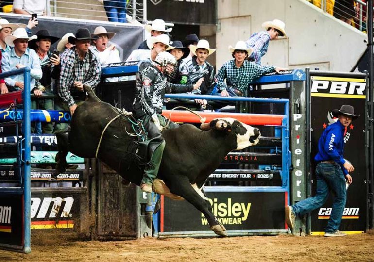 Beaudesert set for two-night buckfest